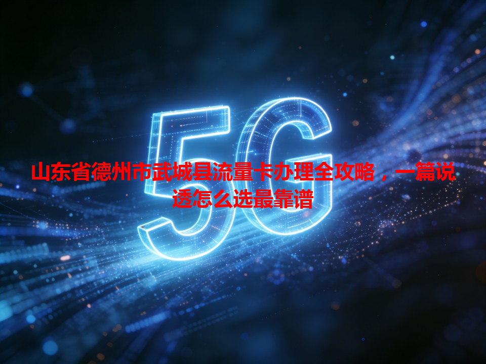 山东省德州市武城县流量卡办理全攻略，一篇说透怎么选最靠谱