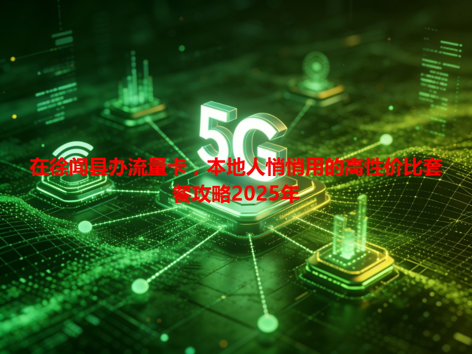 在徐闻县办流量卡，本地人悄悄用的高性价比套餐攻略2025年