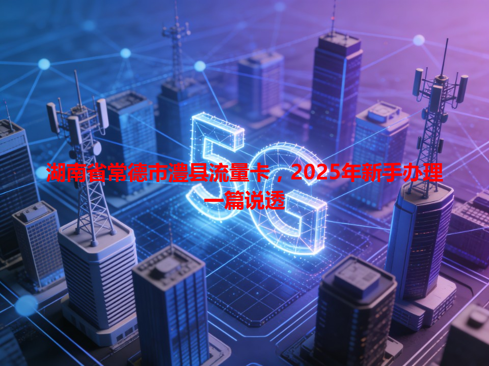 湖南省常德市澧县流量卡，2025年新手办理一篇说透