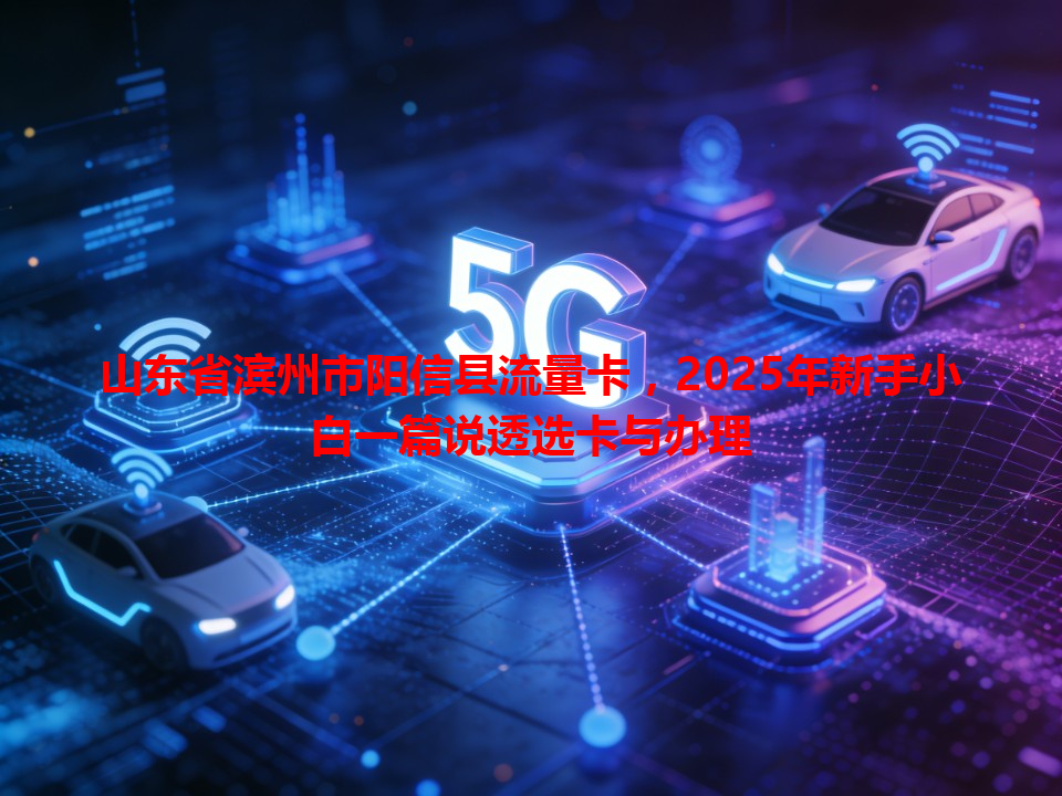 山东省滨州市阳信县流量卡，2025年新手小白一篇说透选卡与办理