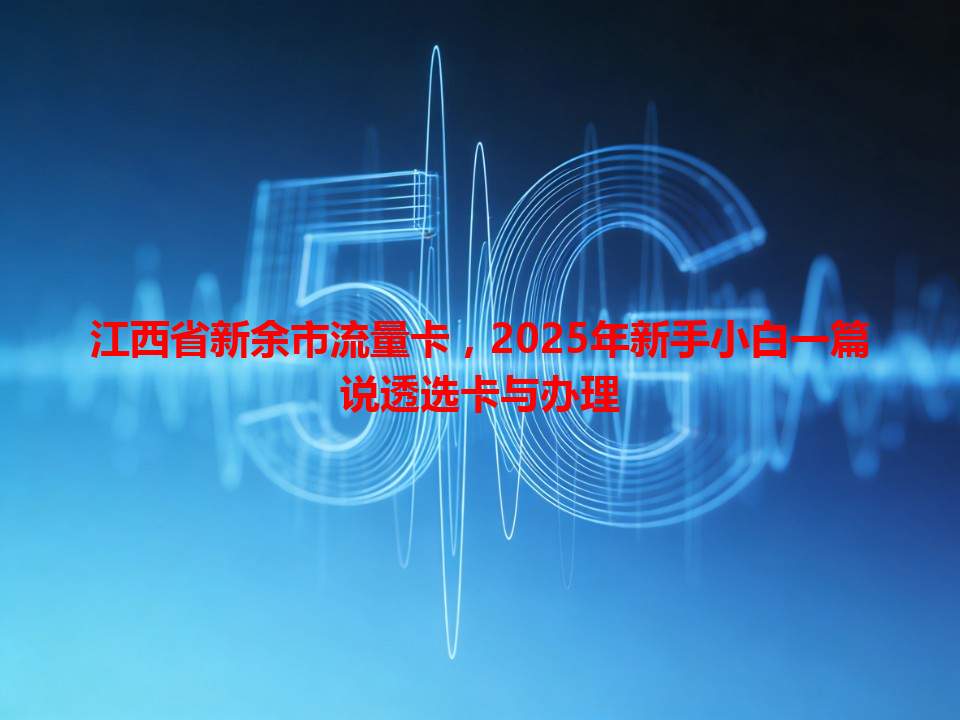 江西省新余市流量卡，2025年新手小白一篇说透选卡与办理