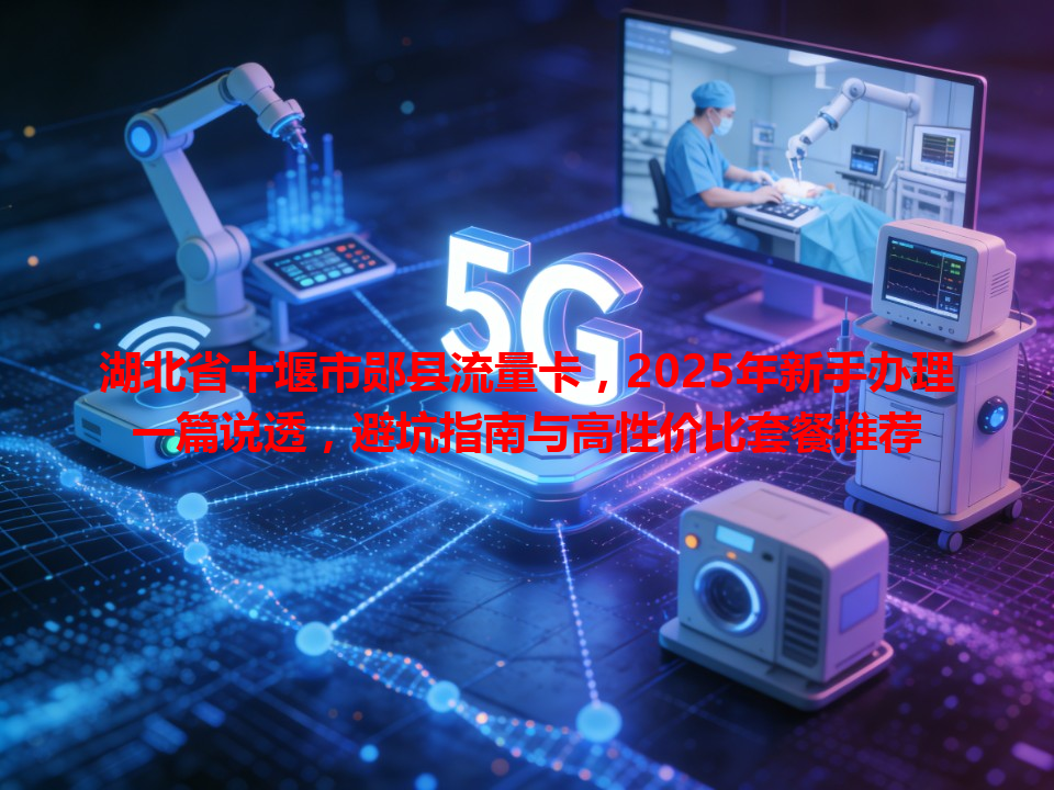 湖北省十堰市郧县流量卡，2025年新手办理一篇说透，避坑指南与高性价比套餐推荐