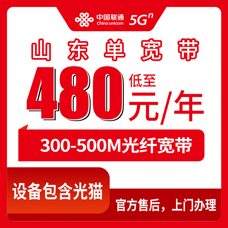 2026年8月11日山东省泰安市联通宽带怎么选？480元起包年，300M/500M实测分享