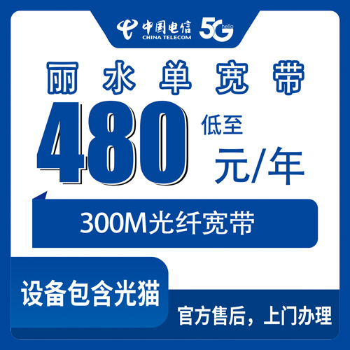 2026年10月丽水市电信单宽带实测办理全流程