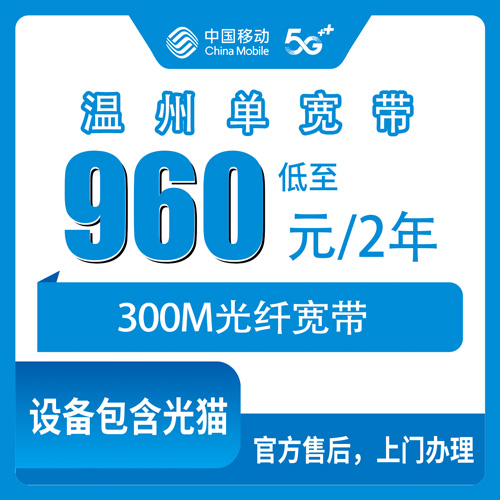 2026年10月30日浙江省温州文成县移动单宽带怎么装？960元两年300M实测记录